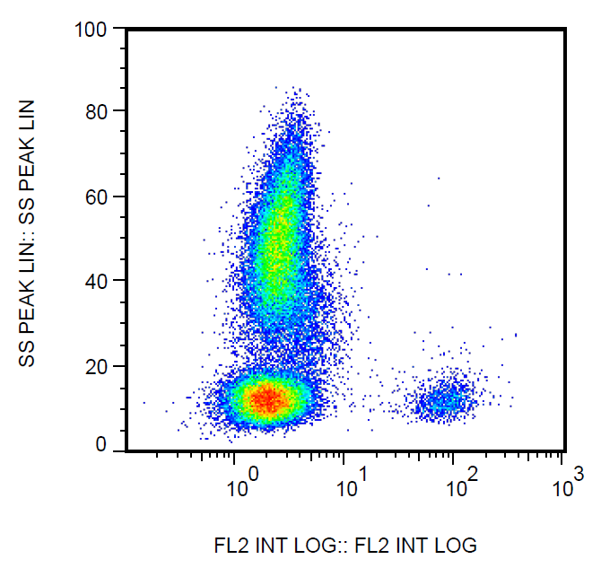 CD19 Antibody (Biotin)
