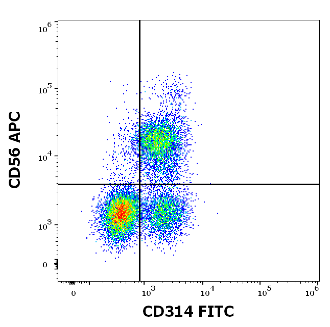CD314 Antibody (FITC)