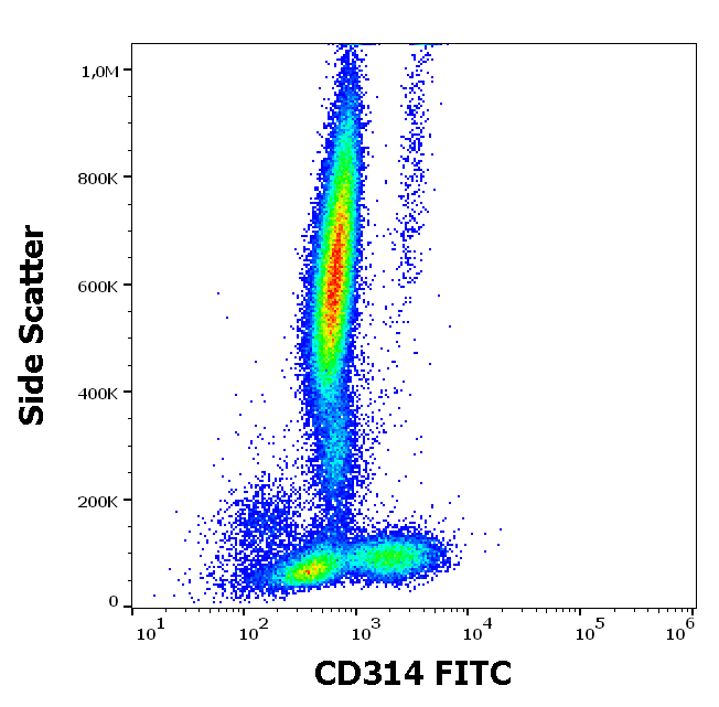 CD314 Antibody (FITC)
