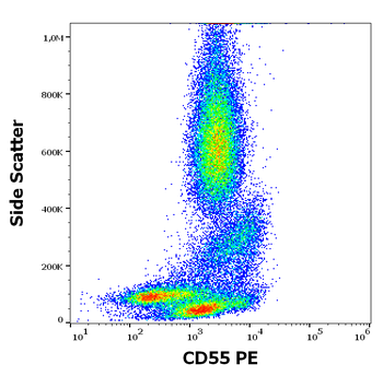 CD55 Antibody (PE)