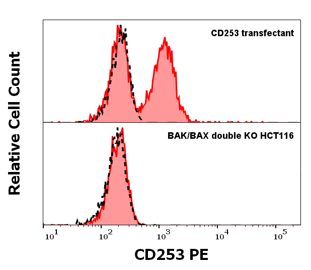 CD253 Antibody (PE)