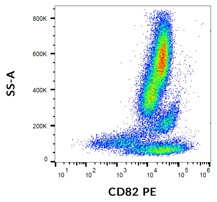 CD82 Antibody (PE)