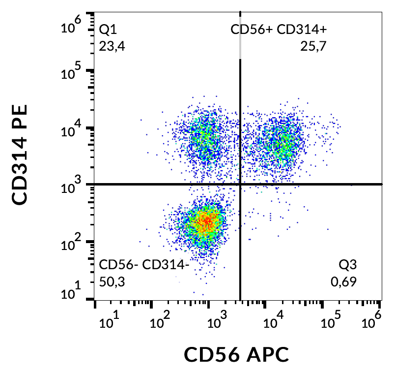 CD314 Antibody (PE)