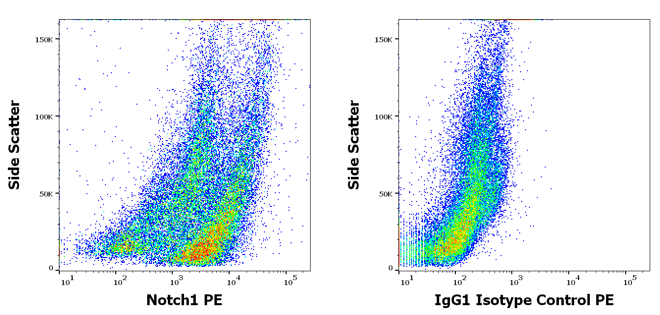 Notch1 Antibody (PE)