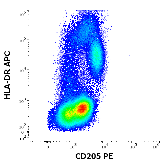 CD205 Antibody (PE)