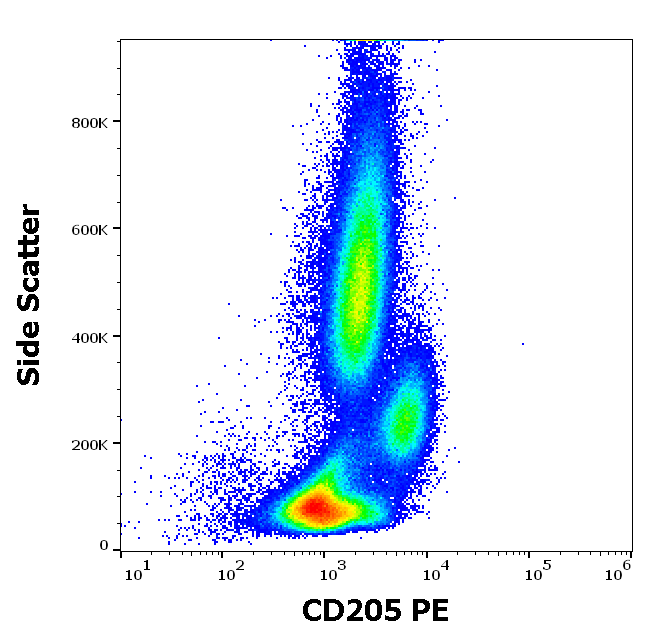 CD205 Antibody (PE)