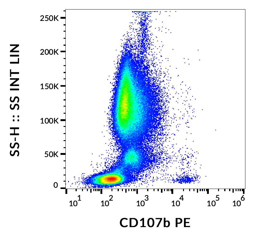 CD107b Antibody (PE)