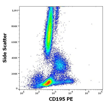 CD195 Antibody (PE)