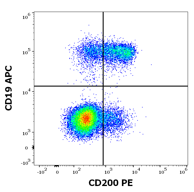 CD200 Antibody (PE)