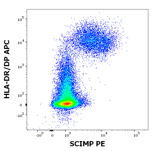 SCIMP Antibody (PE)