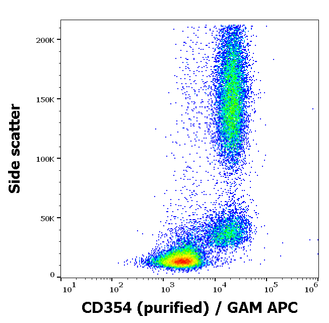 CD354 Antibody
