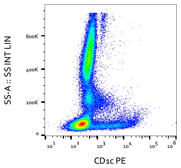 CD1c Antibody (PE)