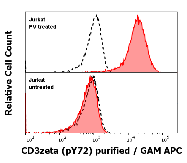 CD3 zeta (pY72) Antibody