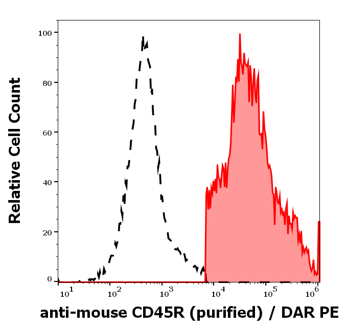 CD45R Antibody