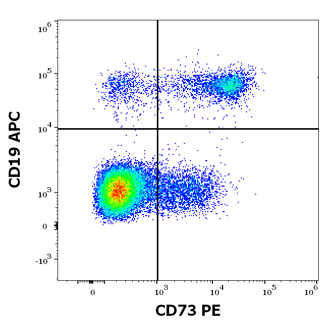 CD73 Antibody (PE)