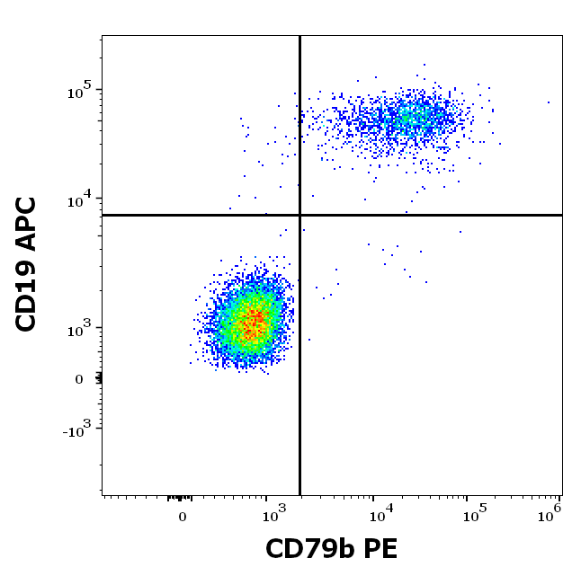 CD79b Antibody (PE)
