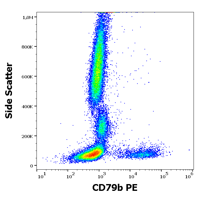 CD79b Antibody (PE)