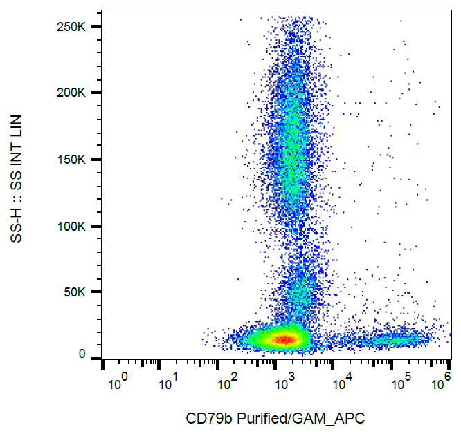 CD79b Antibody