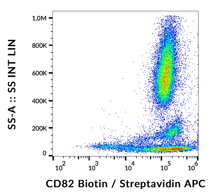 CD82 Antibody (Biotin)