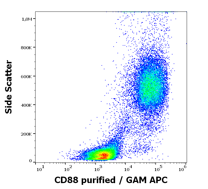 CD88 Antibody