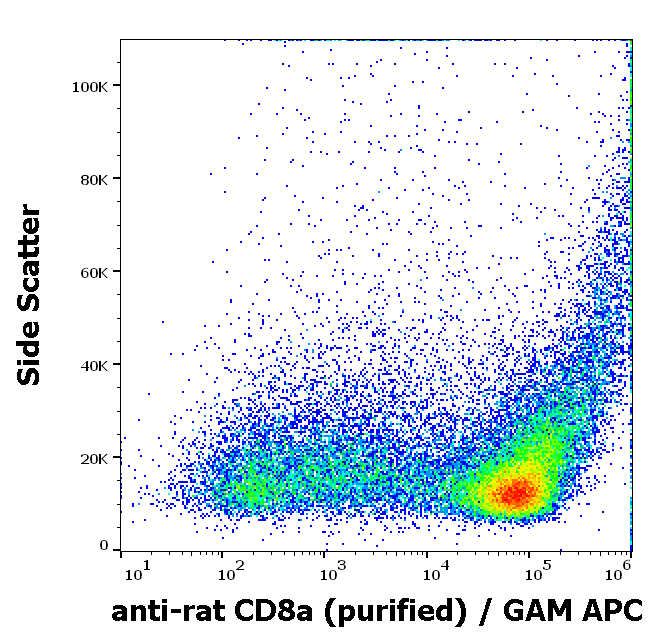 CD8a Antibody
