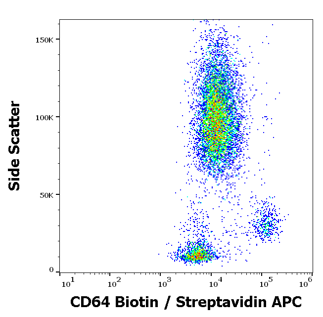CD64 Antibody (Biotin)