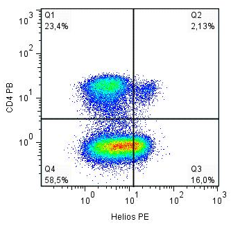 Helios Antibody (PE)