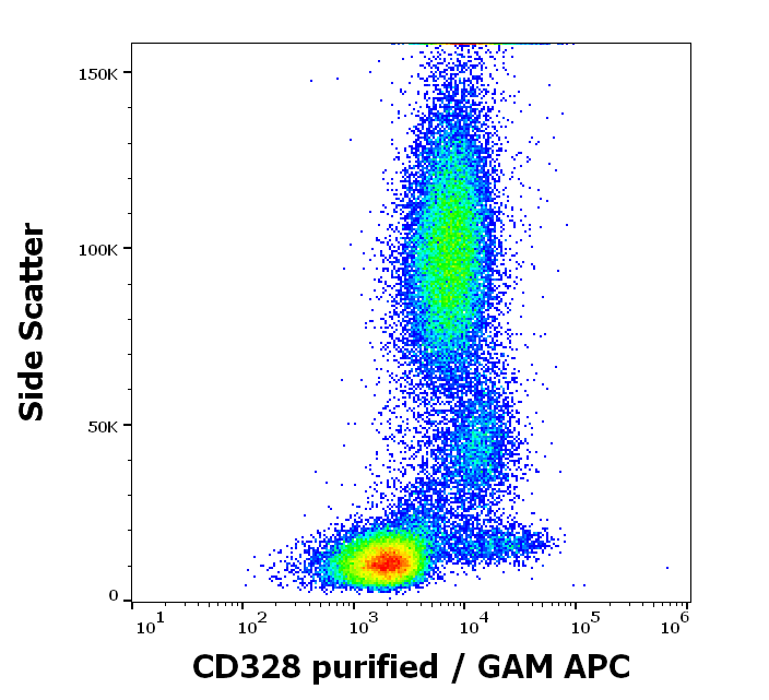 CD328 Antibody