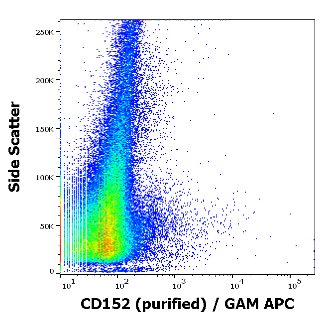 CD152 Antibody