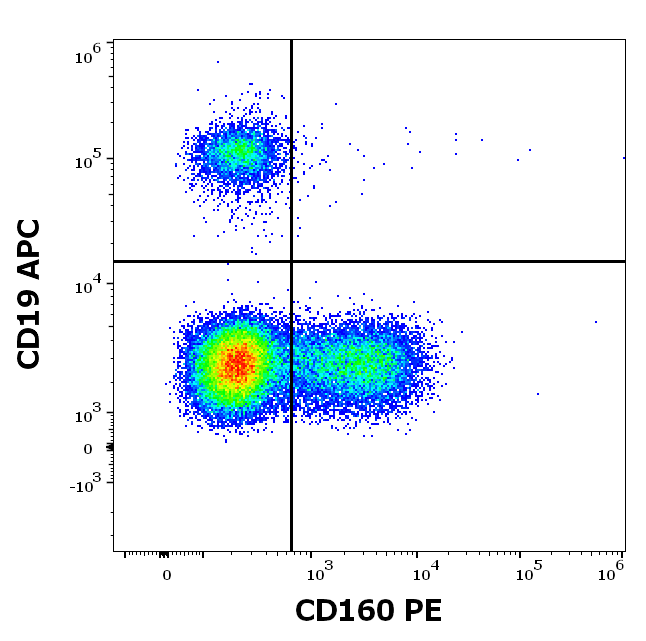 CD160 Antibody (PE)