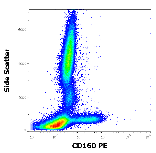 CD160 Antibody (PE)