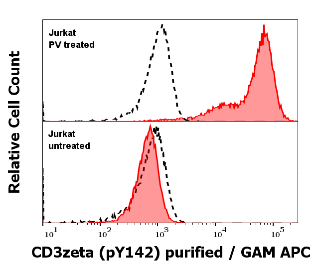 CD3 zeta (pY142) Antibody