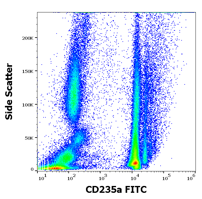 CD235a Antibody (FITC)