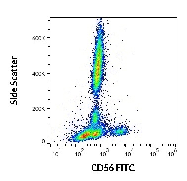 CD56 Antibody (FITC)
