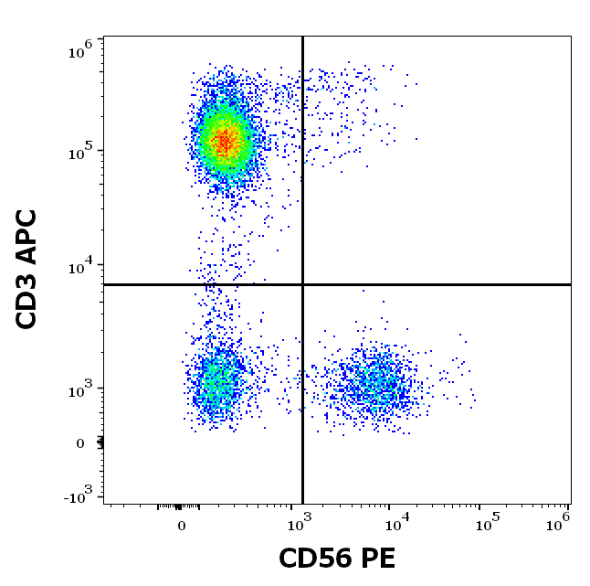 CD56 Antibody (PE)