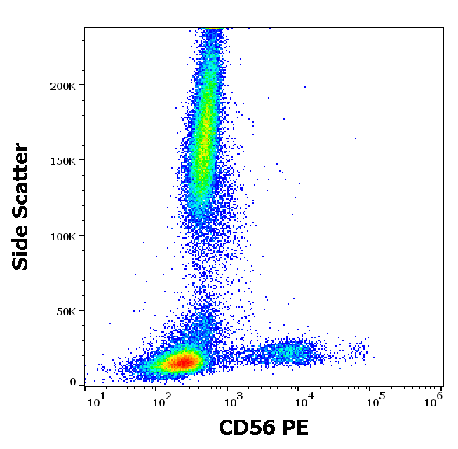 CD56 Antibody (PE)