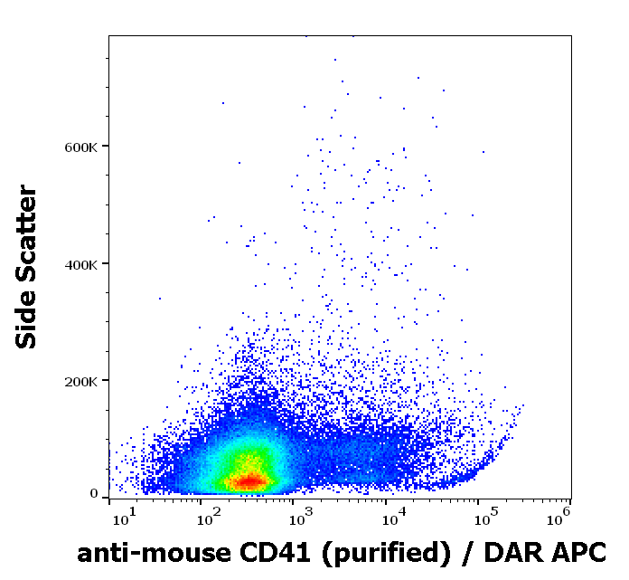 CD41 Antibody