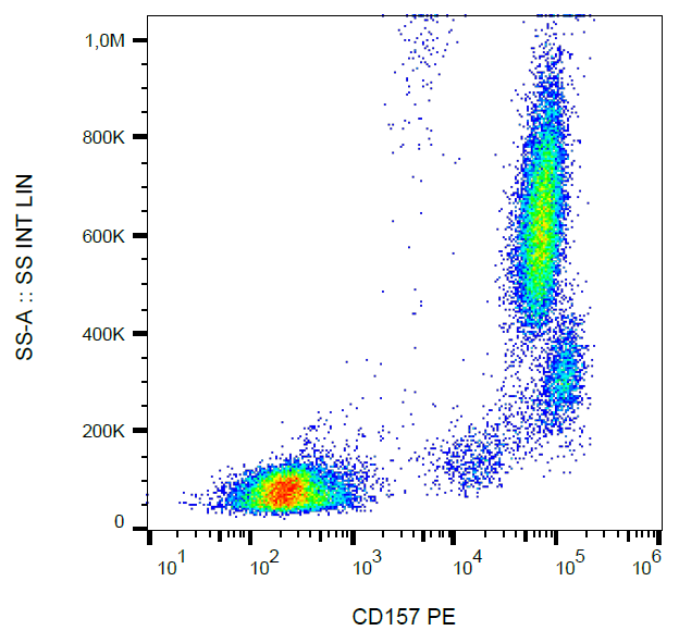 CD157 Antibody (PE)