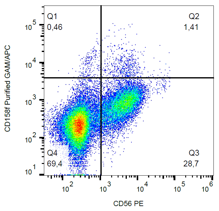 CD158f Antibody