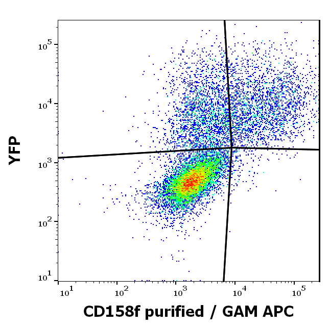 CD158f Antibody