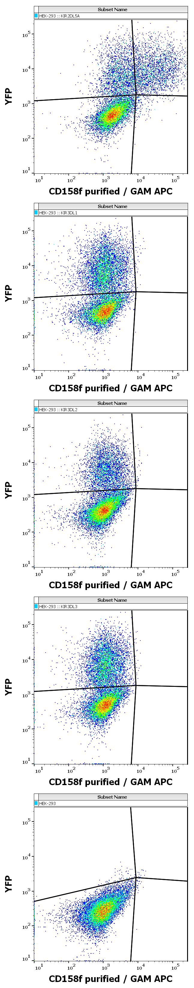 CD158f Antibody