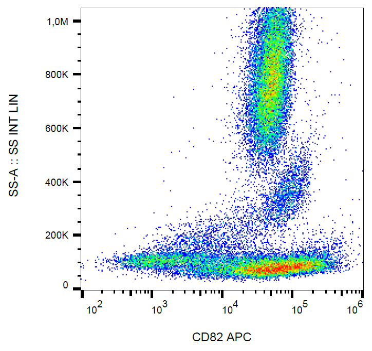 CD82 Antibody (APC)