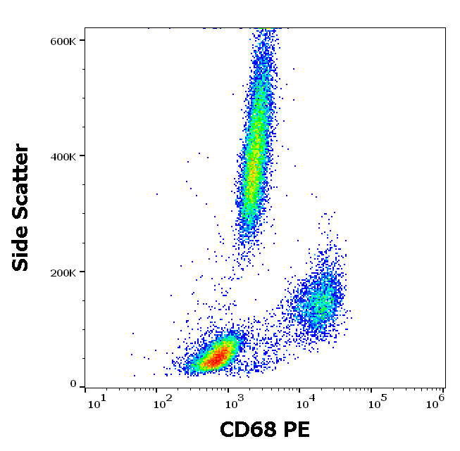 CD68 Antibody (PE)