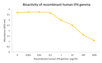 Recombinant human IFN gamma Antibody