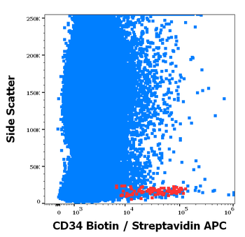 CD34 Antibody (Biotin)