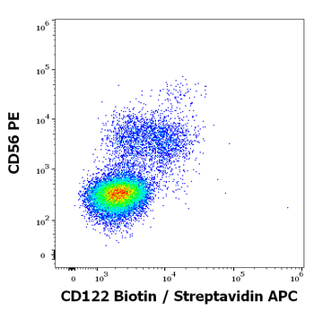 CD122 Antibody (Biotin)