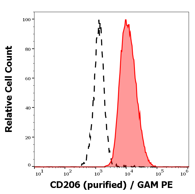 CD206 Antibody
