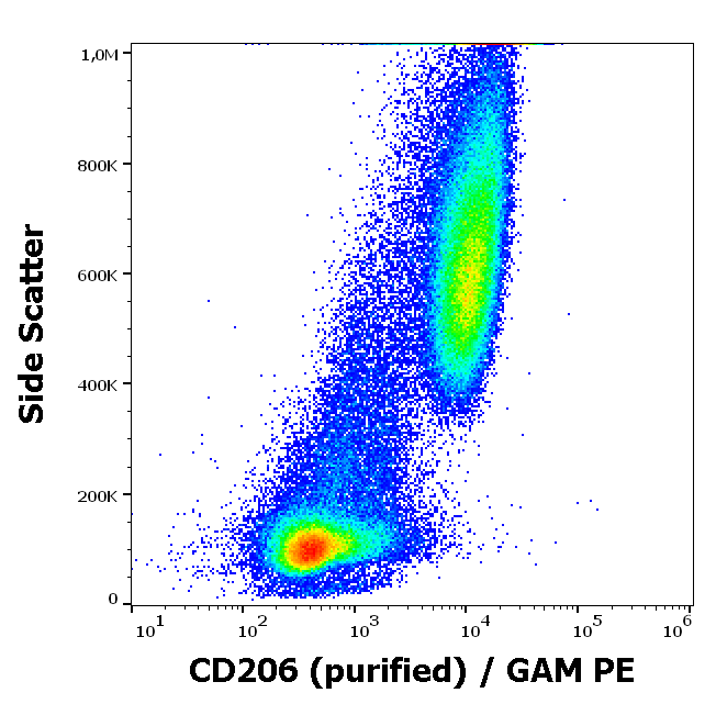 CD206 Antibody