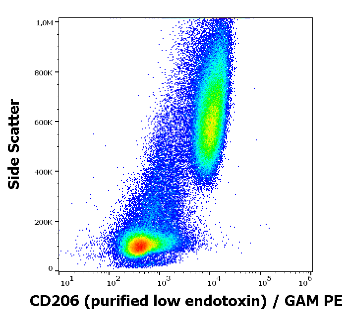 CD206 Antibody