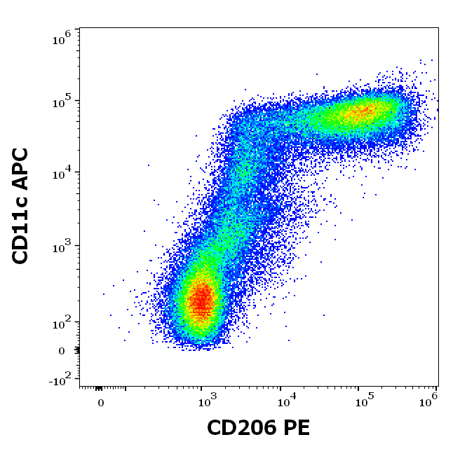 CD206 Antibody (PE)